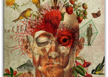 Zëri im – Krijim letrar