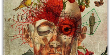 Zëri im – Krijim letrar