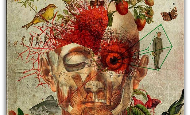 Zëri im – Krijim letrar